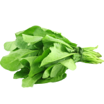 Green Spinach
