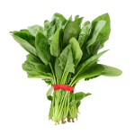 Kangkung