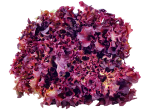 Lolorosa Lettuce
