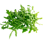 Wild Arugula